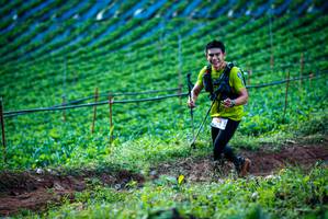 BIB: 
                            <button type="button" onclick="openModal(19160049)" class="btn btn-primary btn-sm float-right btn-popup" data-toggle="modal" data-target=".modal-high-quality">
                        <i class="fas fa-shopping-cart"></i> Add to Cart
                    </button>
                                            <button type="button" onclick="isThisMe(19160049, true)" class="btn btn-success btn-sm float-right btn-popup btn-isme hidden" data-toggle="tooltip" data-placement="bottom" title="นี่คือรูปของคุณใช่ไหม คลิกที่นี่เพื่อเอาเข้าอัลบั้ม">
                        <i class="fas fa-plus"></i> Add to album
                    </button>
                    <button type="button" onclick="isThisMe(19160049, false)" class="btn btn-warning btn-sm float-right btn-popup btn-isnotme hidden">
                        <i class="fas fa-ban"></i> Remove from album
                    </button>